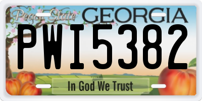 GA license plate PWI5382
