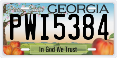 GA license plate PWI5384
