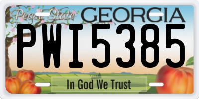 GA license plate PWI5385