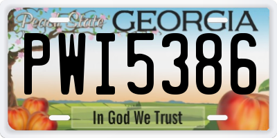 GA license plate PWI5386