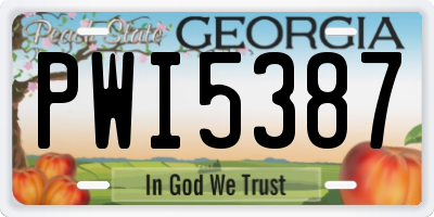 GA license plate PWI5387