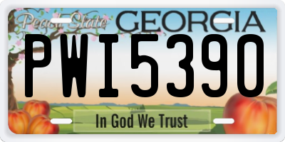 GA license plate PWI5390