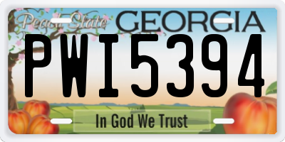GA license plate PWI5394