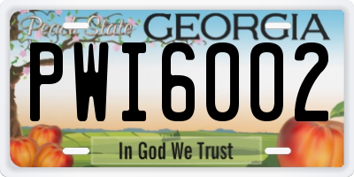 GA license plate PWI6002