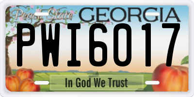GA license plate PWI6017