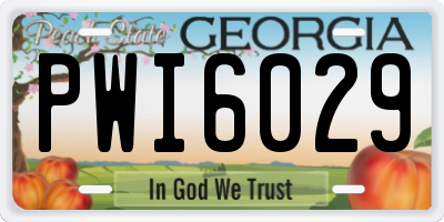 GA license plate PWI6029