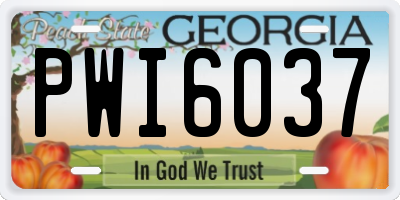 GA license plate PWI6037