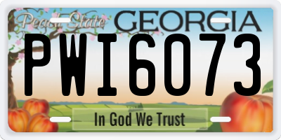 GA license plate PWI6073
