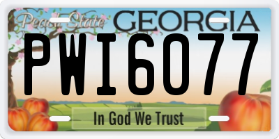 GA license plate PWI6077