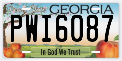 GA license plate PWI6087