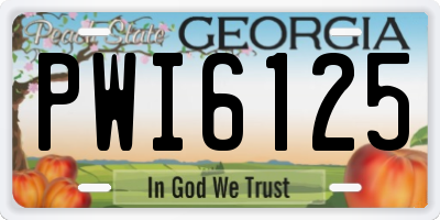GA license plate PWI6125