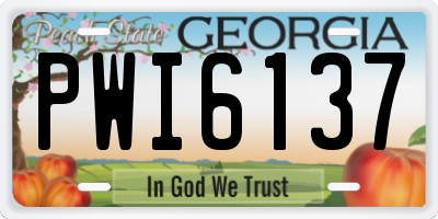 GA license plate PWI6137