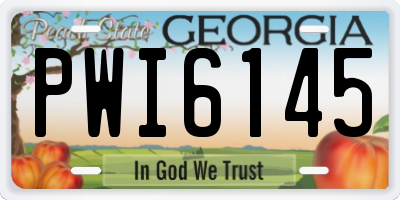 GA license plate PWI6145