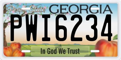 GA license plate PWI6234