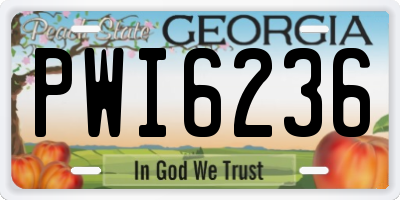 GA license plate PWI6236