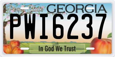 GA license plate PWI6237