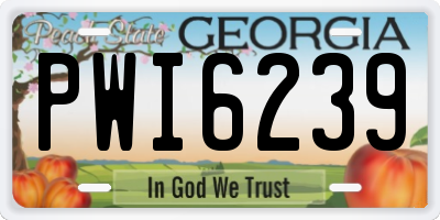 GA license plate PWI6239