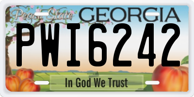 GA license plate PWI6242