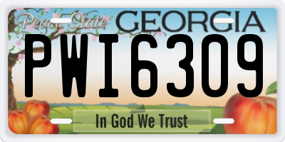 GA license plate PWI6309