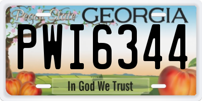 GA license plate PWI6344