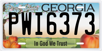GA license plate PWI6373