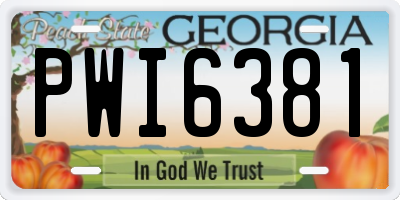 GA license plate PWI6381