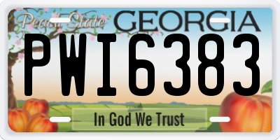 GA license plate PWI6383