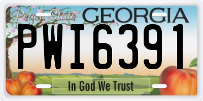 GA license plate PWI6391
