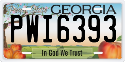 GA license plate PWI6393