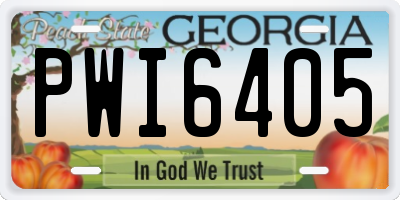 GA license plate PWI6405