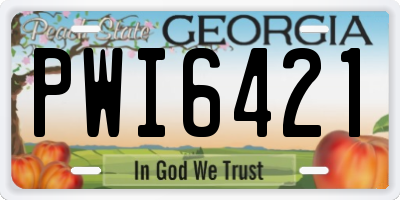 GA license plate PWI6421