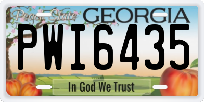 GA license plate PWI6435