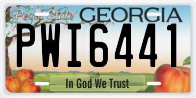 GA license plate PWI6441