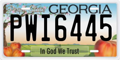 GA license plate PWI6445