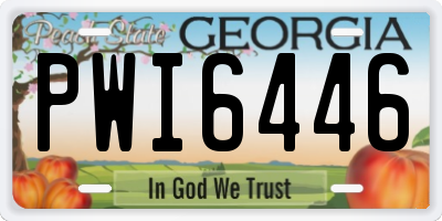 GA license plate PWI6446