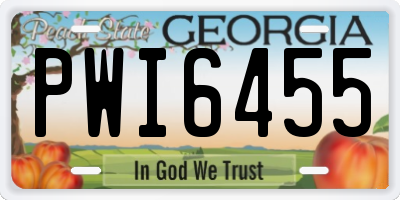 GA license plate PWI6455