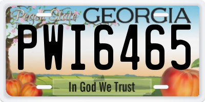 GA license plate PWI6465