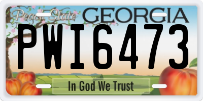 GA license plate PWI6473