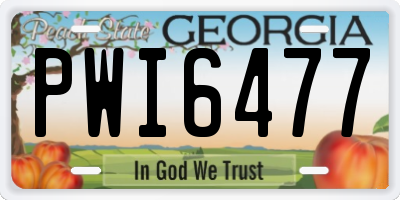 GA license plate PWI6477