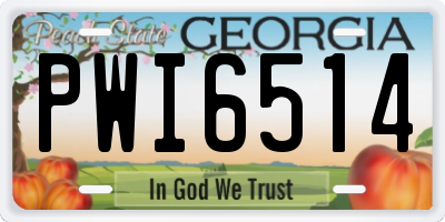 GA license plate PWI6514