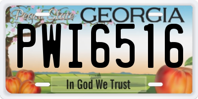 GA license plate PWI6516
