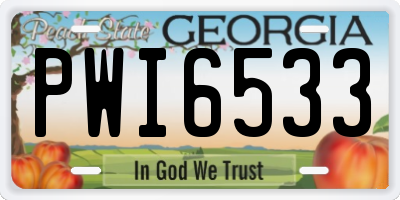 GA license plate PWI6533