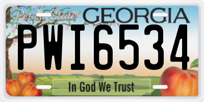 GA license plate PWI6534