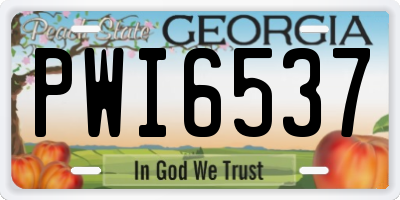 GA license plate PWI6537