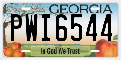 GA license plate PWI6544