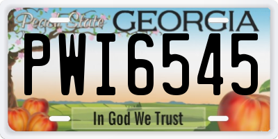 GA license plate PWI6545