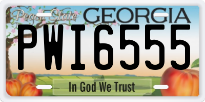 GA license plate PWI6555