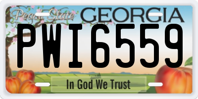 GA license plate PWI6559