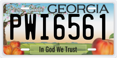 GA license plate PWI6561