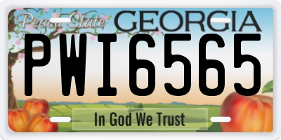 GA license plate PWI6565